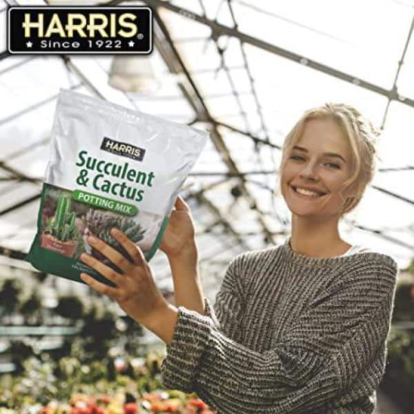 4qt. Succulent and Cactus Potting Soil Mix (2-Pack) - Hercitys