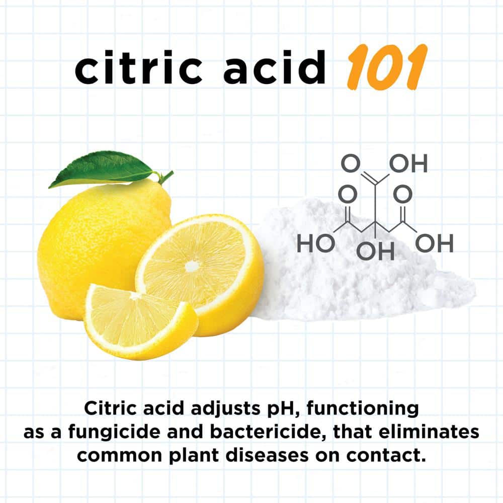 1 qt. Concentrate Fungicide, Disease Control - Hercitys