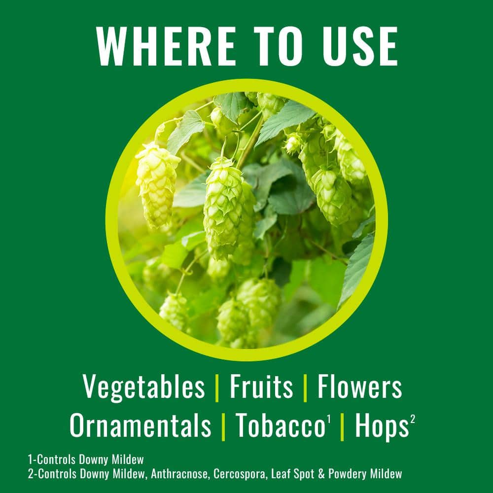 24 oz Disease and Fungus Ready to Use (2-Pack) - Hercitys