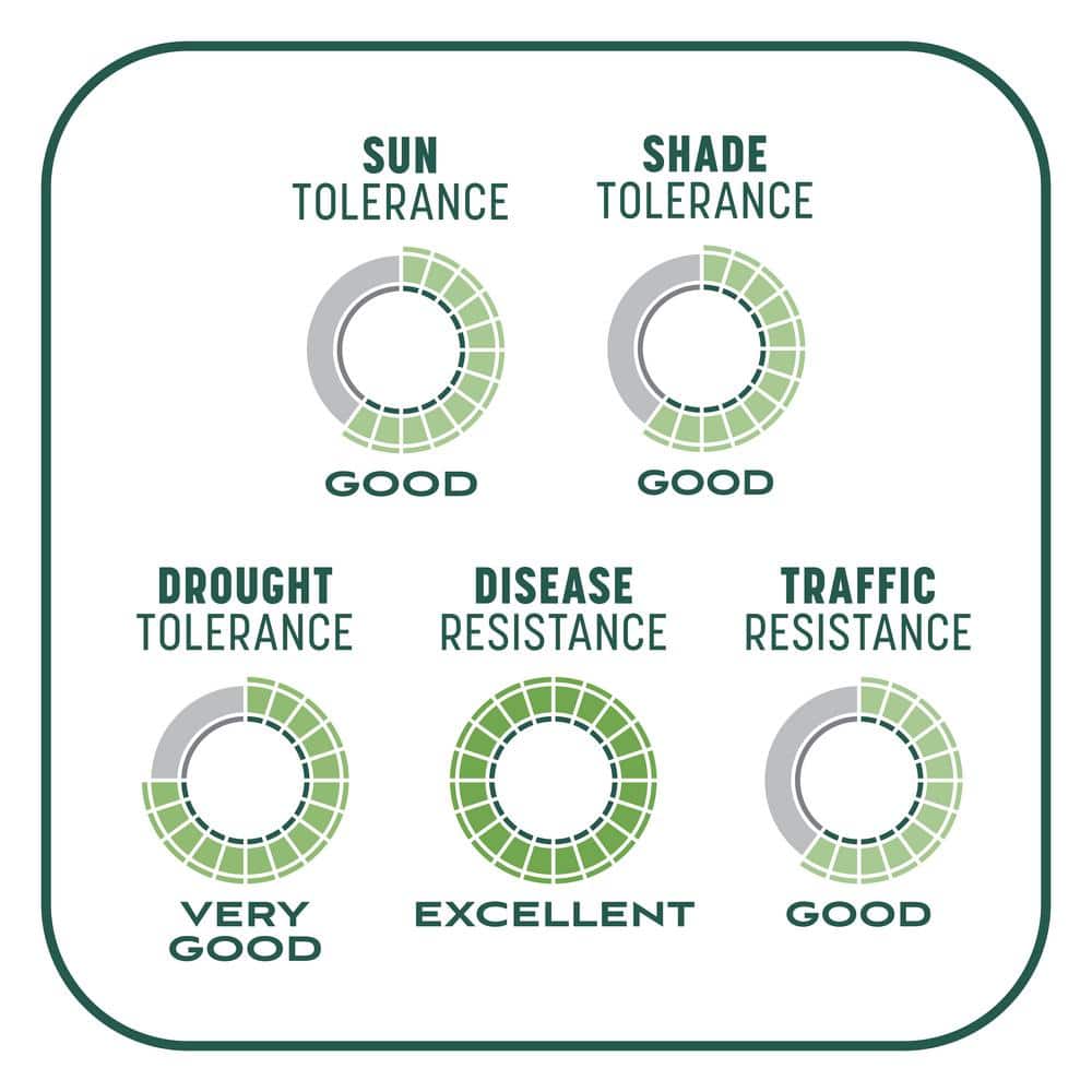 10 lbs. Smart Patch Sun and Shade West Grass Seed with Mulch, Fertilizer - Hercitys