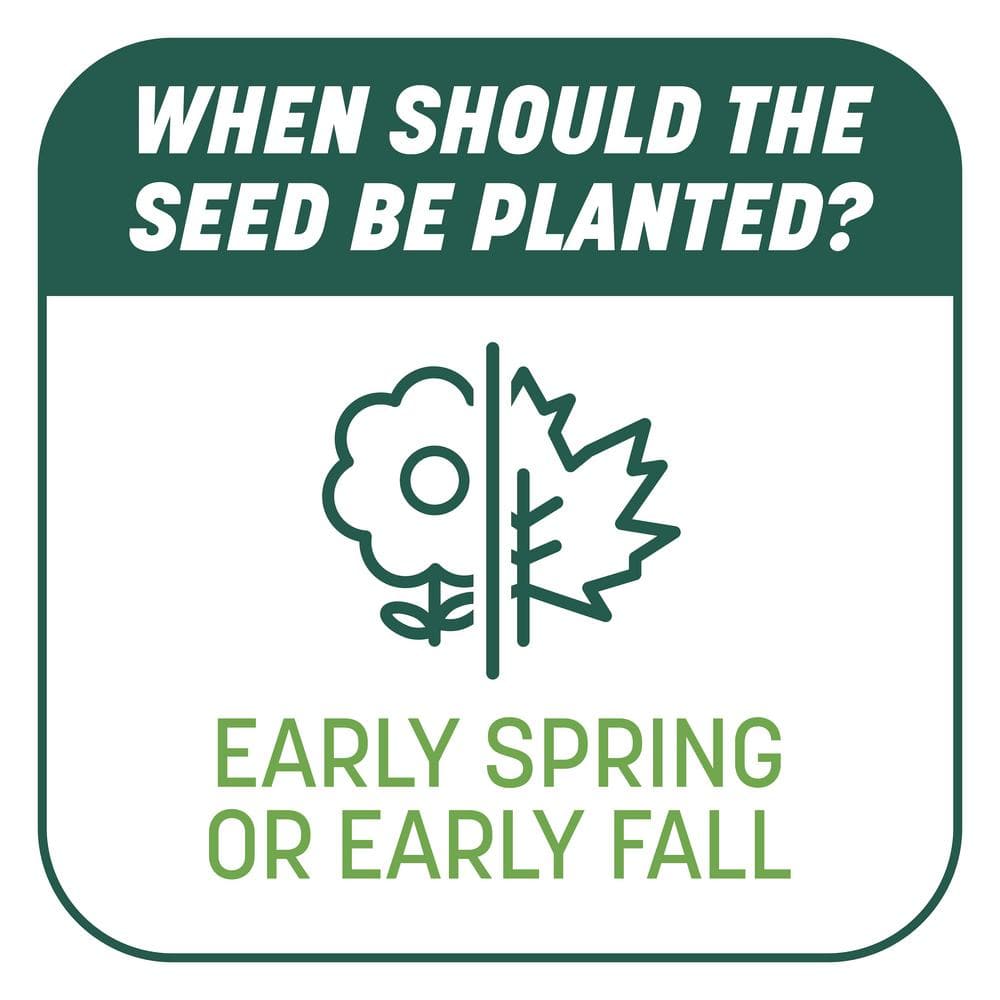 10 lbs. Smart Patch Sun and Shade West Grass Seed with Mulch, Fertilizer - Hercitys