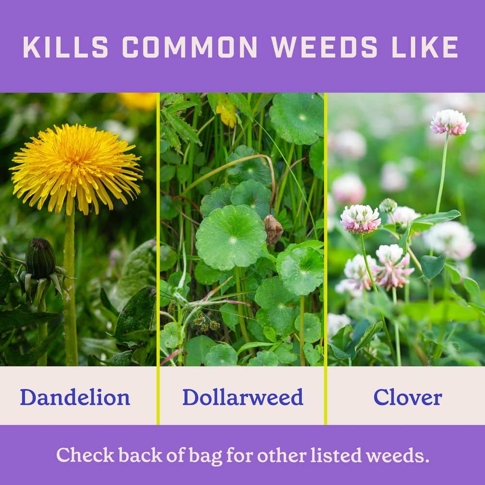 25.6 lbs. 8,000 sq. ft. Full Season Southern Weed and Feed Lawn Fertilizer Granules 25-0-14 - Hercitys