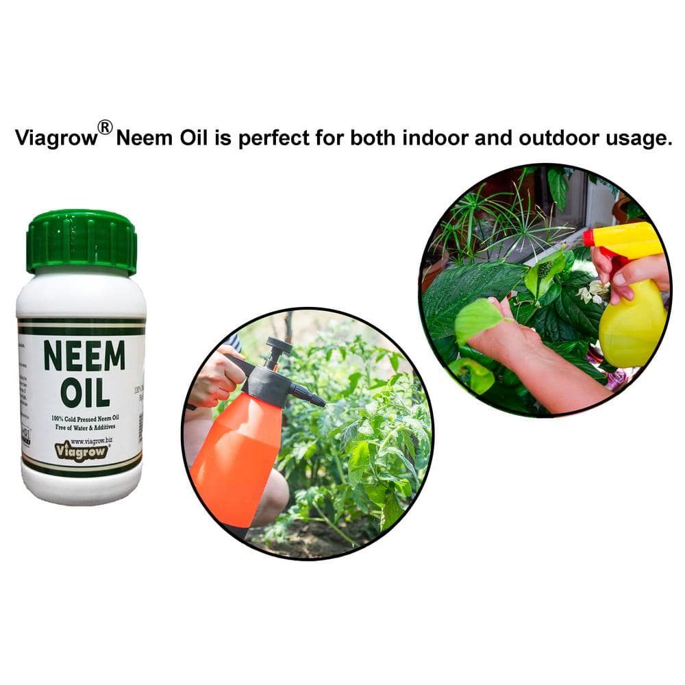 16 oz. Cold Pressed Neem Oil Seed Extract (Makes 24 Gal.) - Hercitys