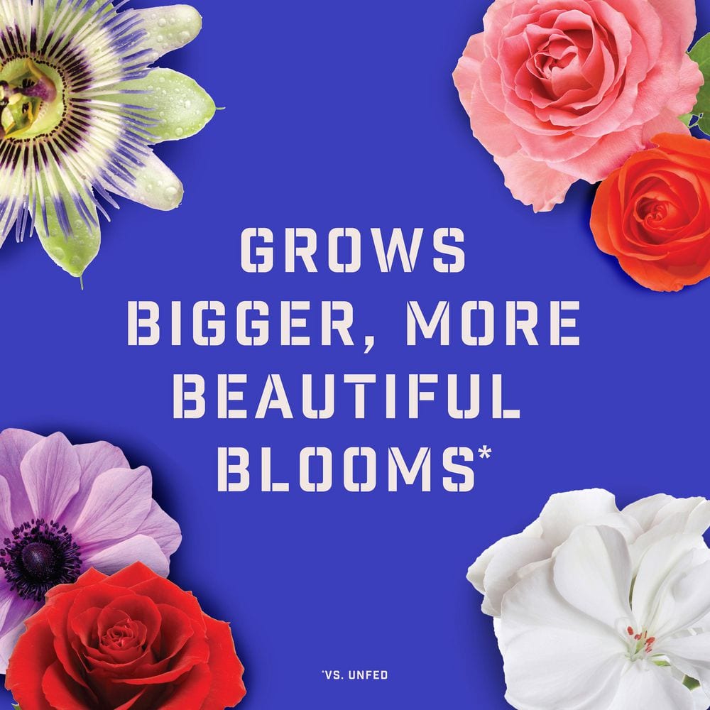 4 lbs. Rejuvenate Rose and Flower Plant Food 4-6-3 - Hercitys