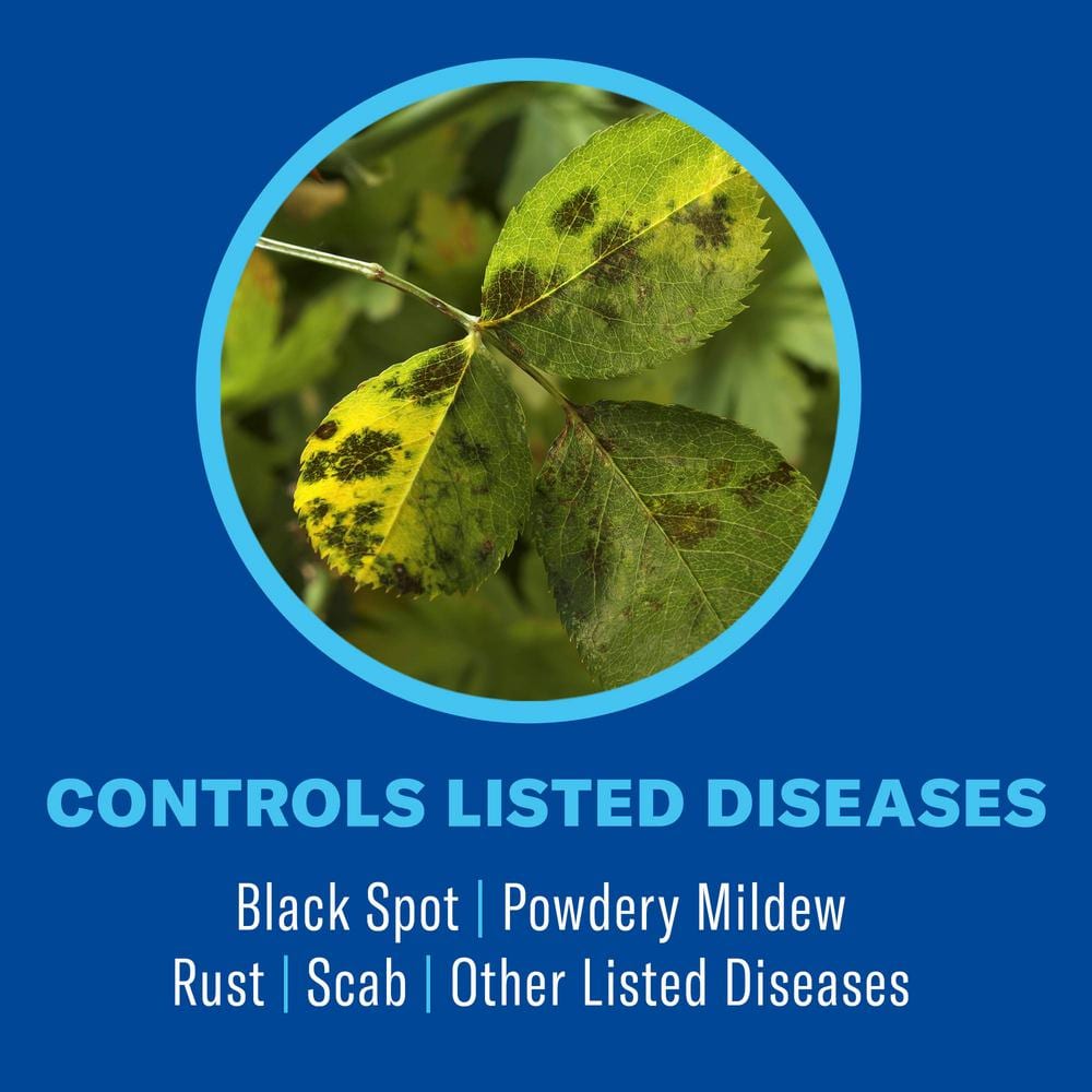 1 Gal Ready-To-Use All-in-One Rose and Flower Plant Spray 3-in-1 Insect Killer, Disease and Mite Control - Hercitys