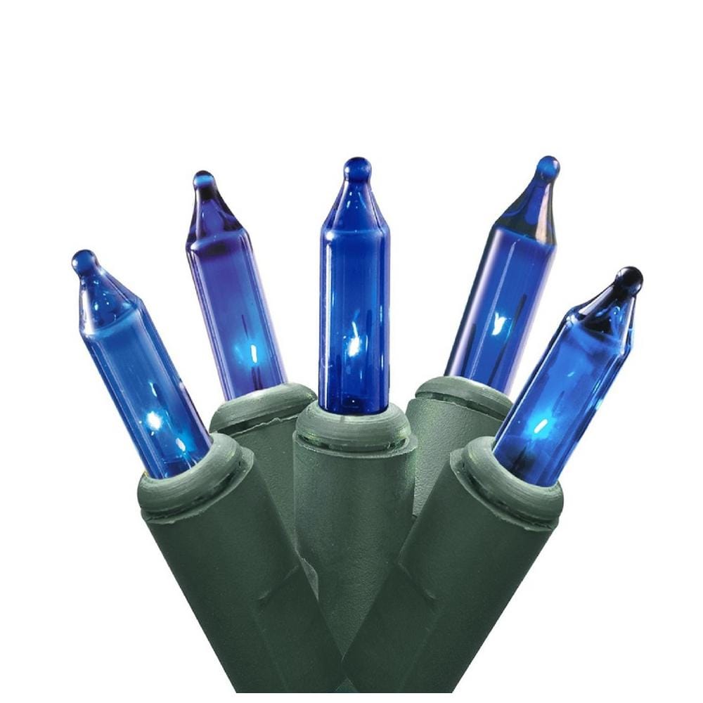 4 ft. x 6 ft. Blue Mini Net Style Christmas Lights with Green Wire - Hercitys