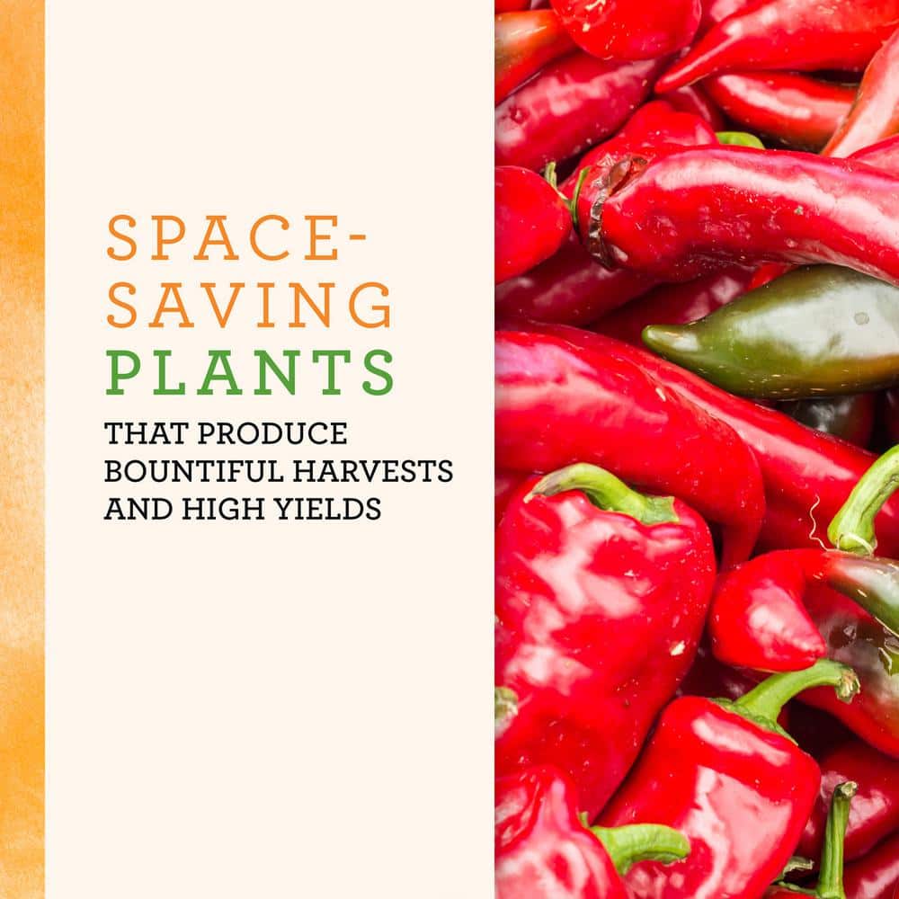 25 oz. Carmen Italian Sweet Pepper Plant (2-Pack) - Hercitys