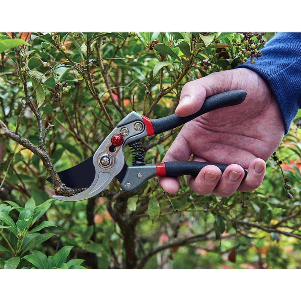 3/4 in. Cutting Capacity, Lightweight Stee Professional Bypass Pruning Shears - Hercitys