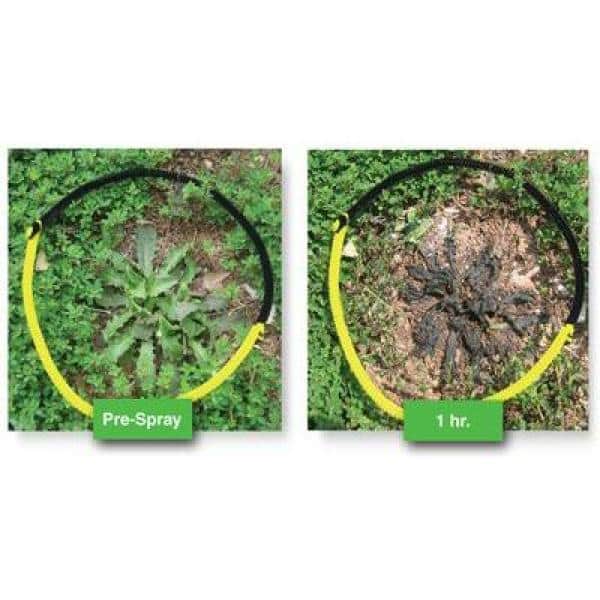 128 oz. Ready-to-Use Natural Spray - Hercitys