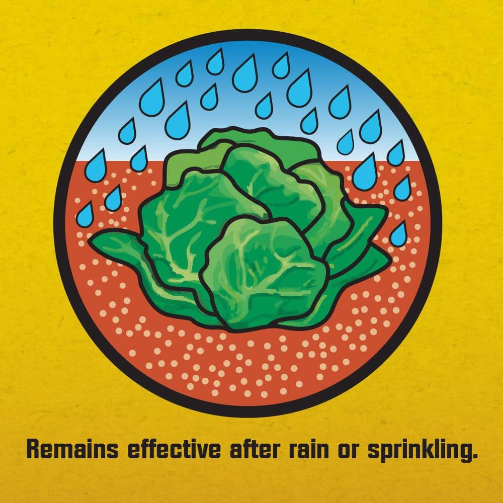 1.75 lbs. Slug and Snail Killer (2-Pack) - Hercitys