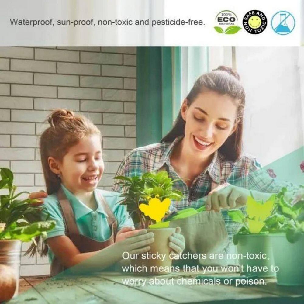 18 pack sticky fruit fly traps and maggot traps for indoor and outdoor use, non-toxic and odorless - Hercitys