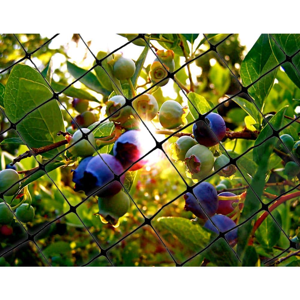 200 ft. x 14 ft. Standard Bird Netting - Hercitys