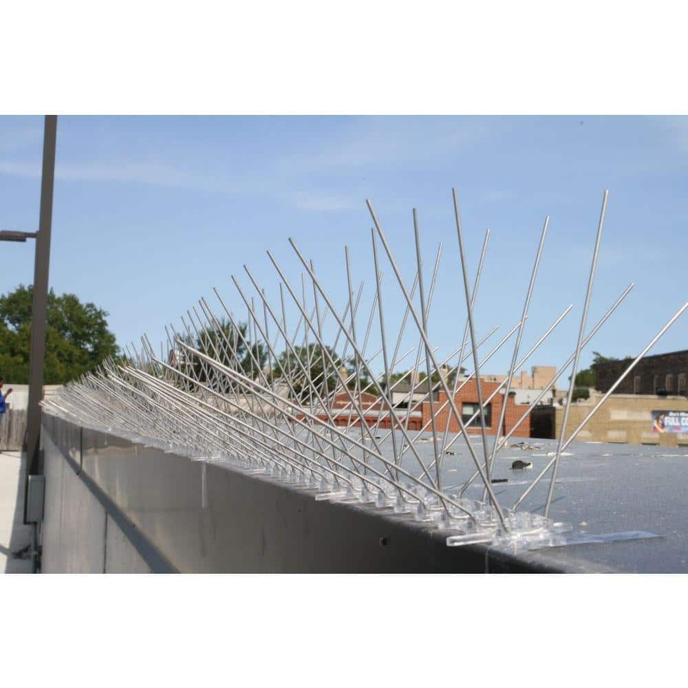 50 ft. Stainless Steel Bird Spikes Pigeons Starling Blackbirds Seagulls 6 in. Coverage - Hercitys