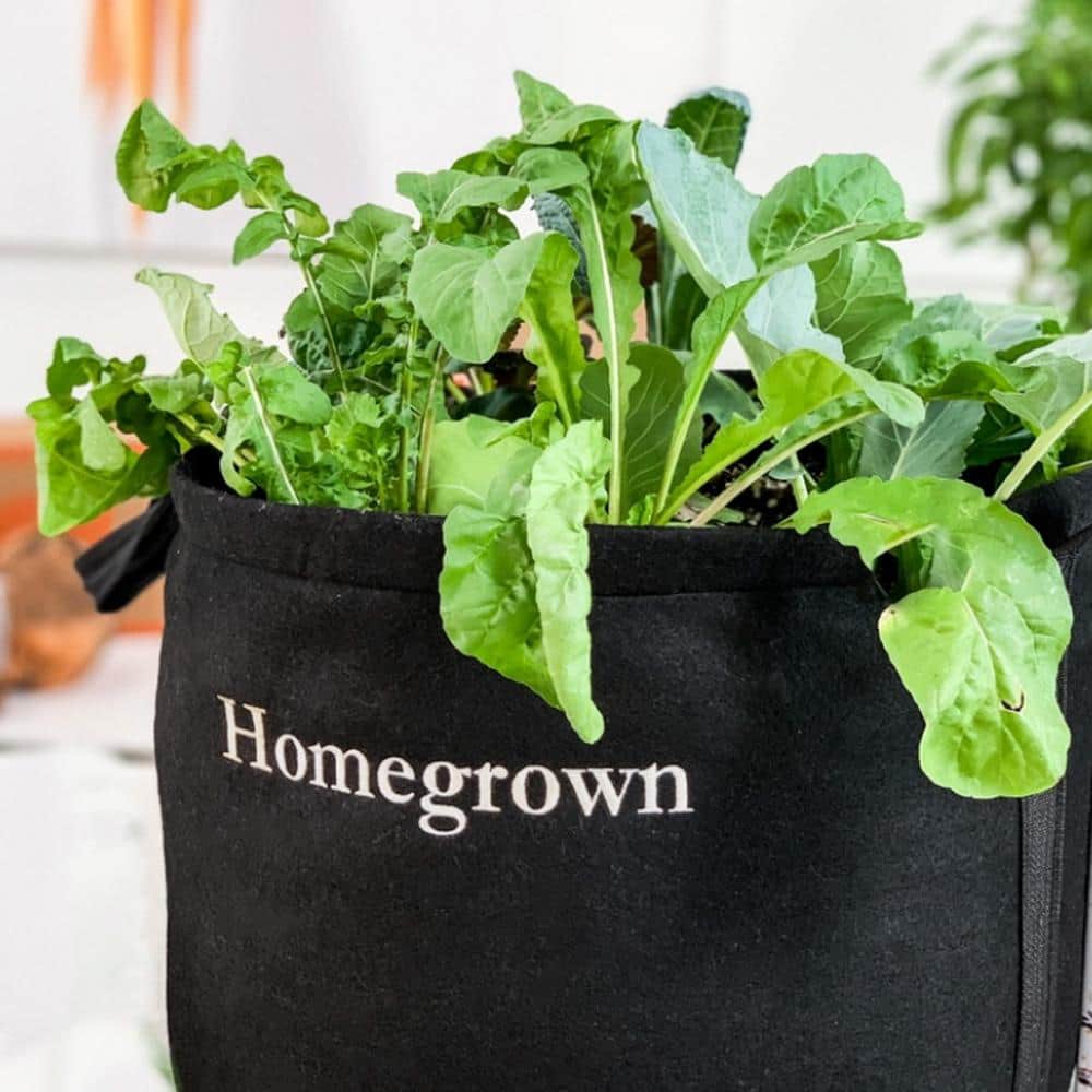 5 Gal. Portable Outdoor Homegrown Garden Grow Bag Kit with Vegetable and Herb Plants - Hercitys