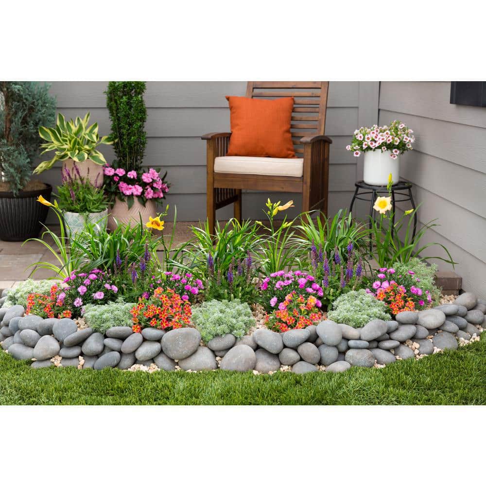 2 Qt. Green Liriope Perennial Plant (3-Pack) - Hercitys