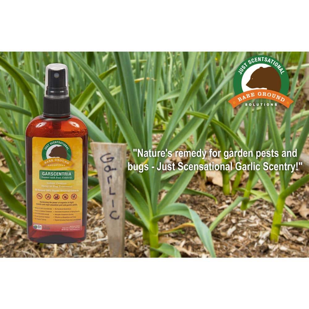 4 oz. Garscentria Liquid - Hercitys