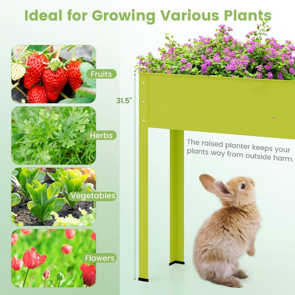 40 in. x 11 in. x 31.5 in. Green Metal Raised Garden Bed with Legs and Drainage Hole - Hercitys