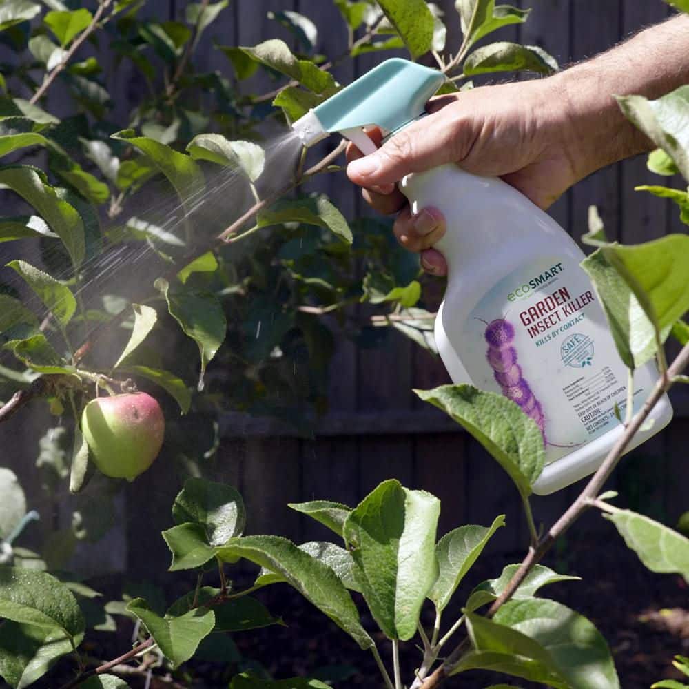 24 oz. Natural Garden Insect Killer with Plant-Based Rosemary Oil and Peppermint Oil, Ready-to-Use Spray Bottle (2-Pack) - Hercitys