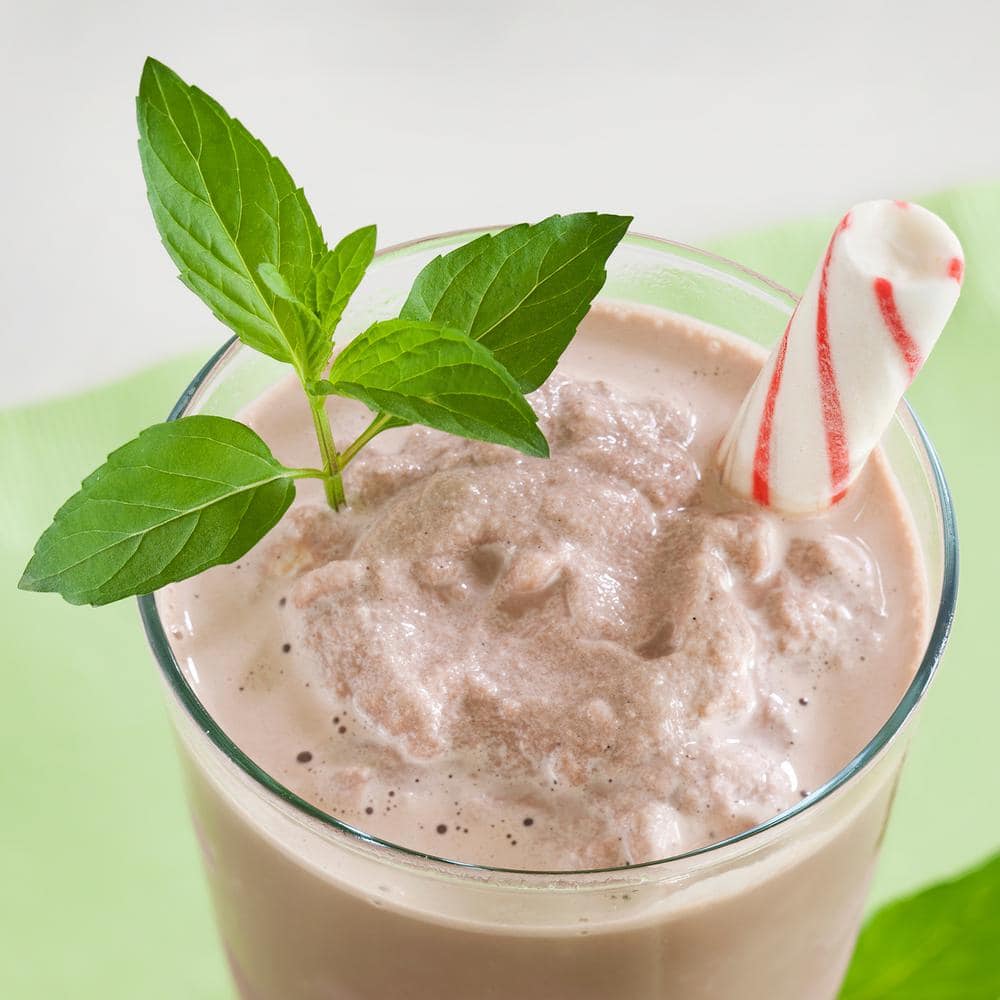 19 oz. Peppermint Herb Plant (2-Pack) - Hercitys