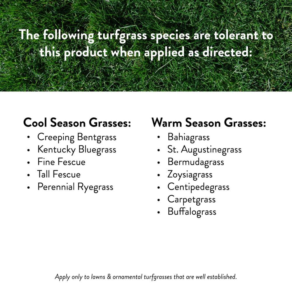 13.5 lbs. Crabgrass Control Plus Lawn Food, Covers 5,000 sq. ft. (26-0-4) - Hercitys