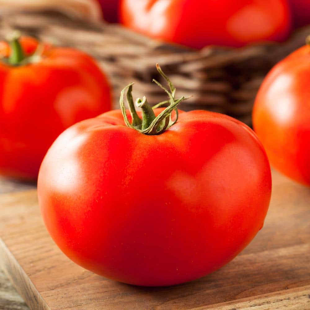 19 oz. Red Beefsteak Heirloom Tomato Plant (2-Pack) - Hercitys