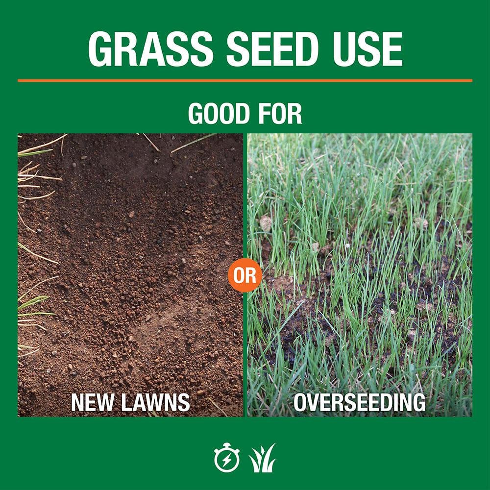 5 lbs. Bermuda Grass Seed Blend with Water Saver Seed Coating - Hercitys