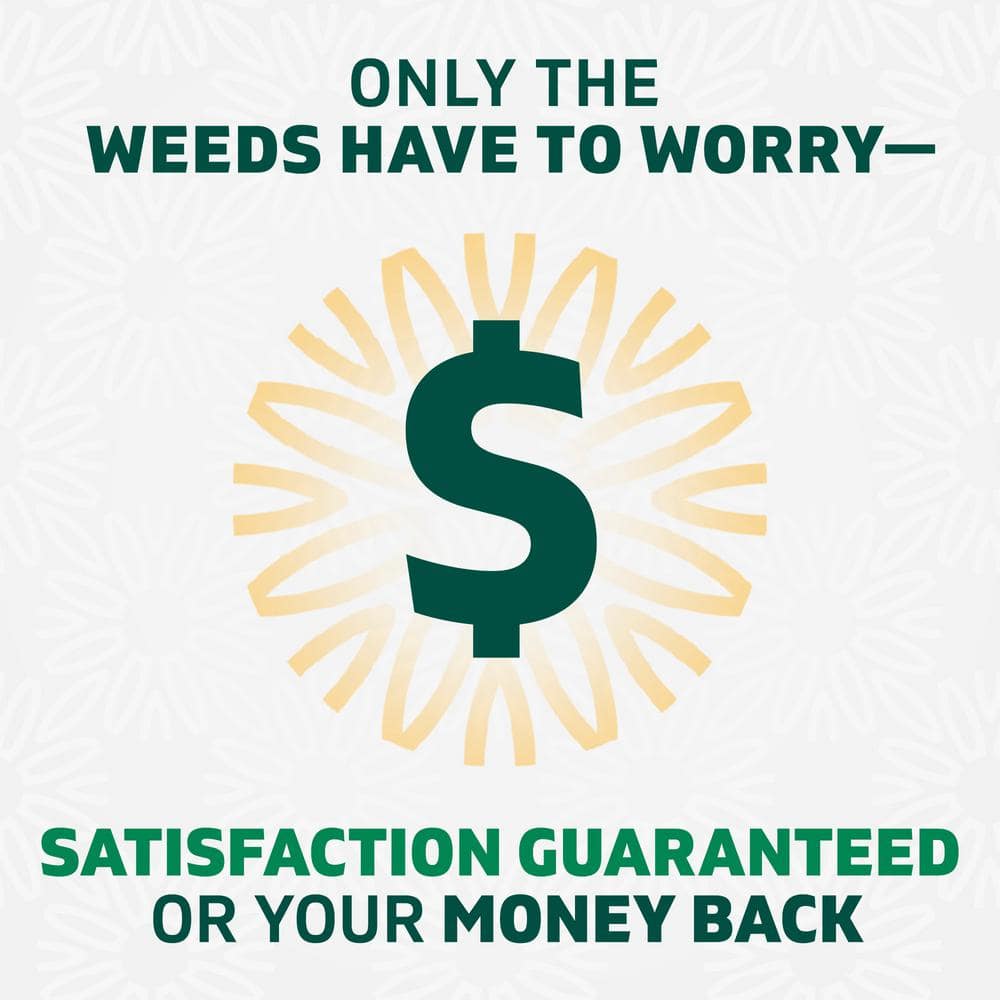 24 oz. Weed and Grass Killer Trigger Spray - Hercitys