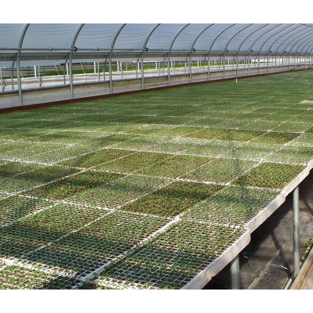 242 Plugs Hydroponic Seeding Tray (2-Pack) - Hercitys