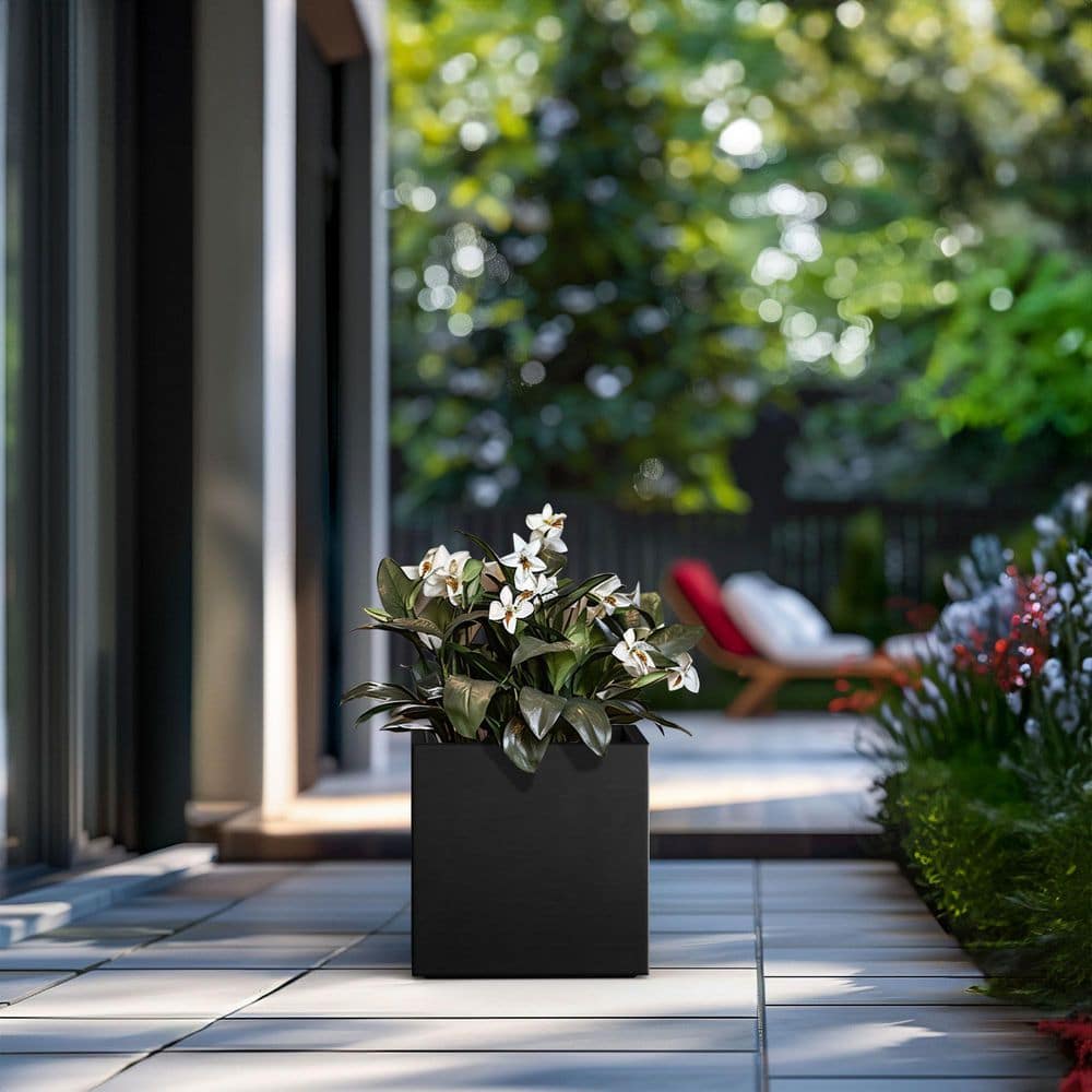 12 in. Medium Charcoal Black Concrete Square planter / Pot with drainage holes - Hercitys