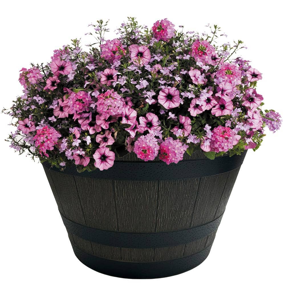 22 in. Cameron Whiskey Barrel Resin Planter (22 in. D x 13.5 in. H) with Drainage Hole - Hercitys