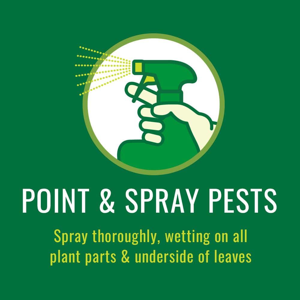 24 oz. Plant Insect Killer Ready To Use (2-Pack) - Hercitys