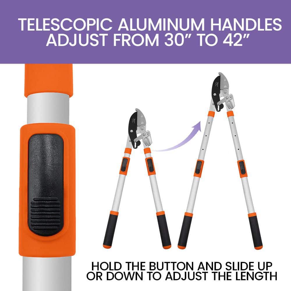 30 in. To 42 in. Telescopic Ratchet Anvil Lopper - Hercitys