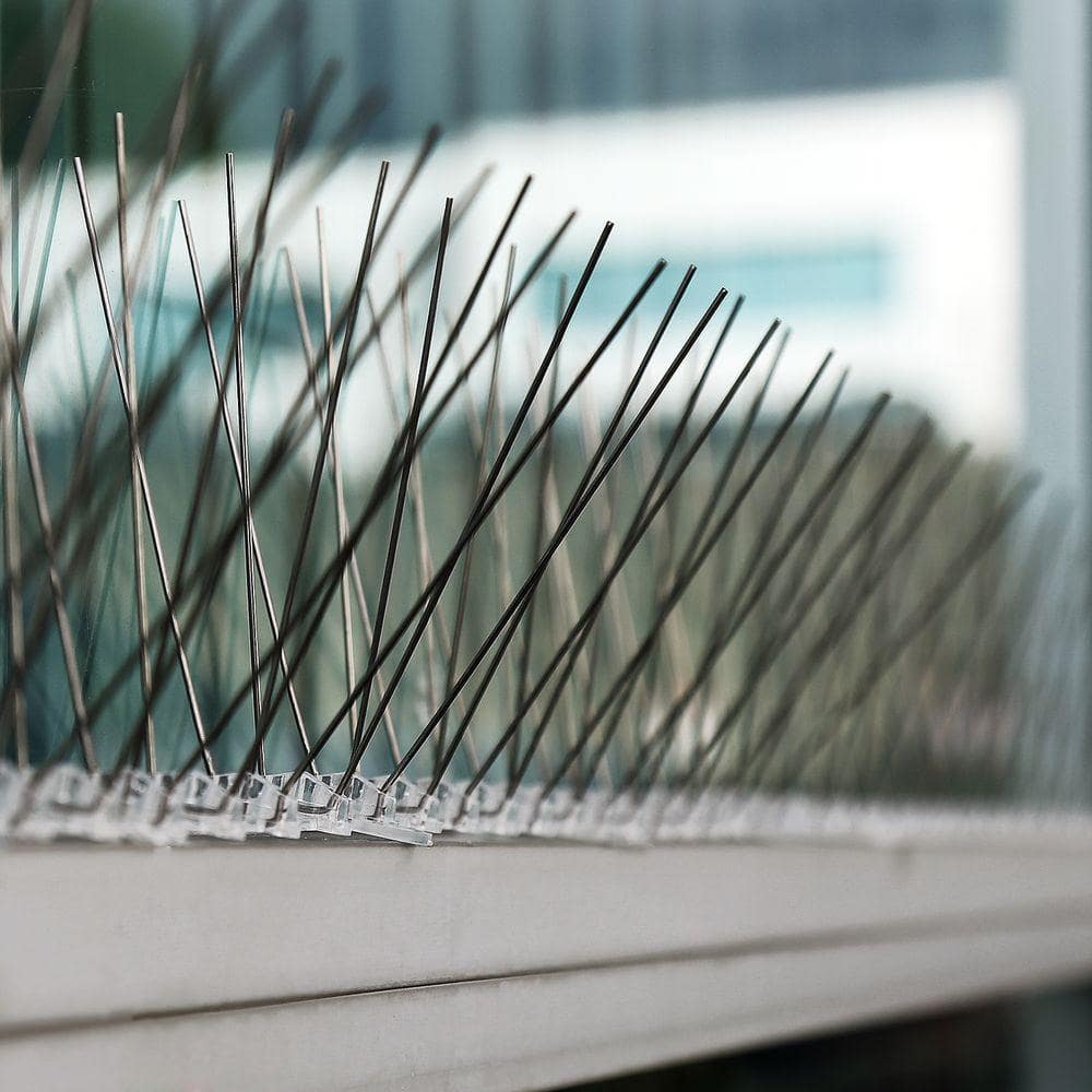 10 ft. Stainless Steel Bird Spikes - Hercitys