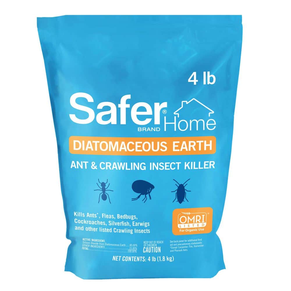 4 lbs. Diatomaceous Earth – Bed Bug, Flea, Ant, Crawling Insect Killer for Indoor and Outdoor - Hercitys