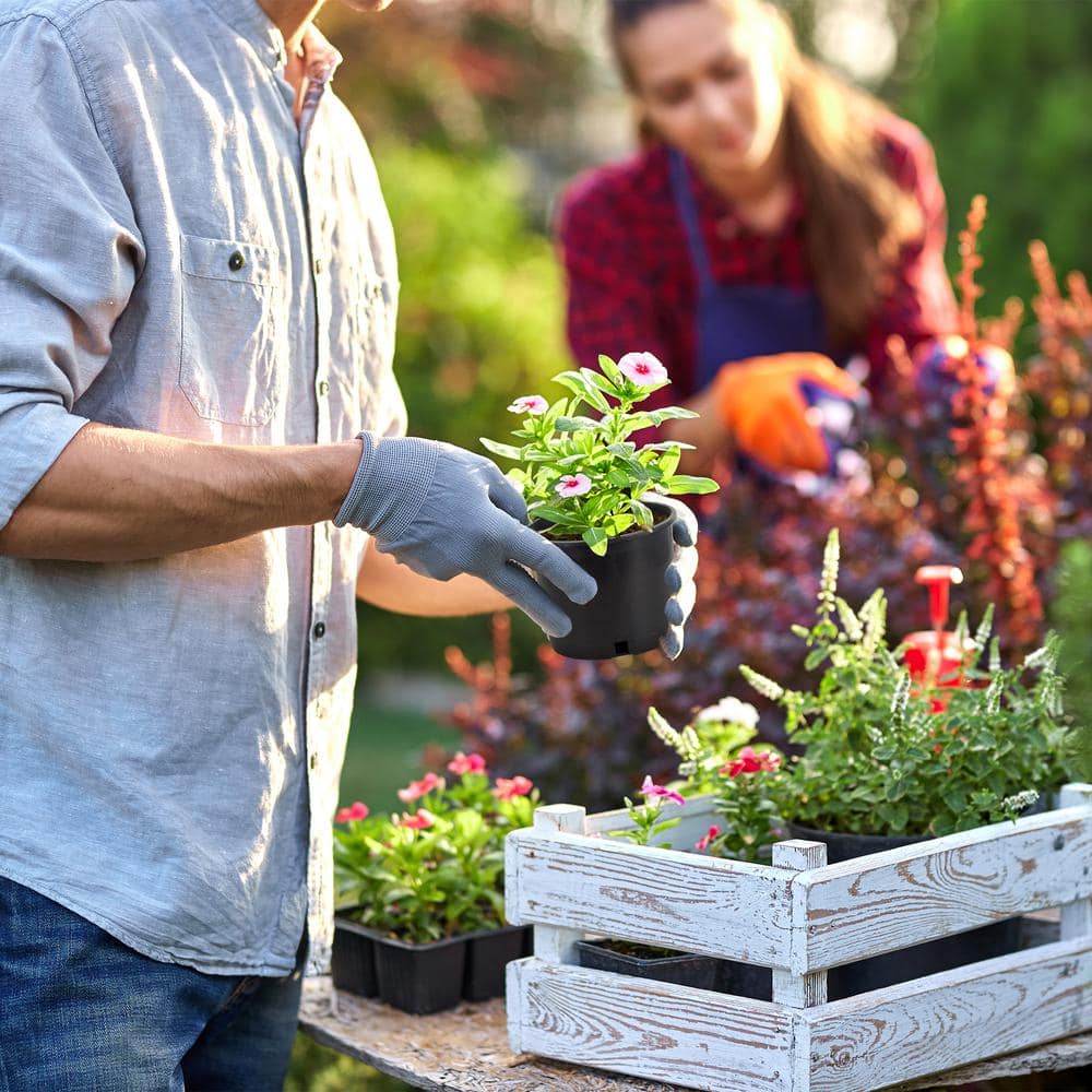 5 Gal. Premium Nursery Black Plastic Planter Garden Grow Pots, 5-Pack - Hercitys