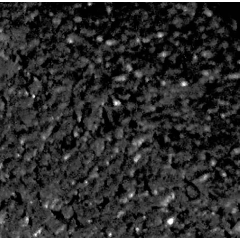 4 ft. Black Rubber Curb Landscape Edging (4-Pack) - Hercitys