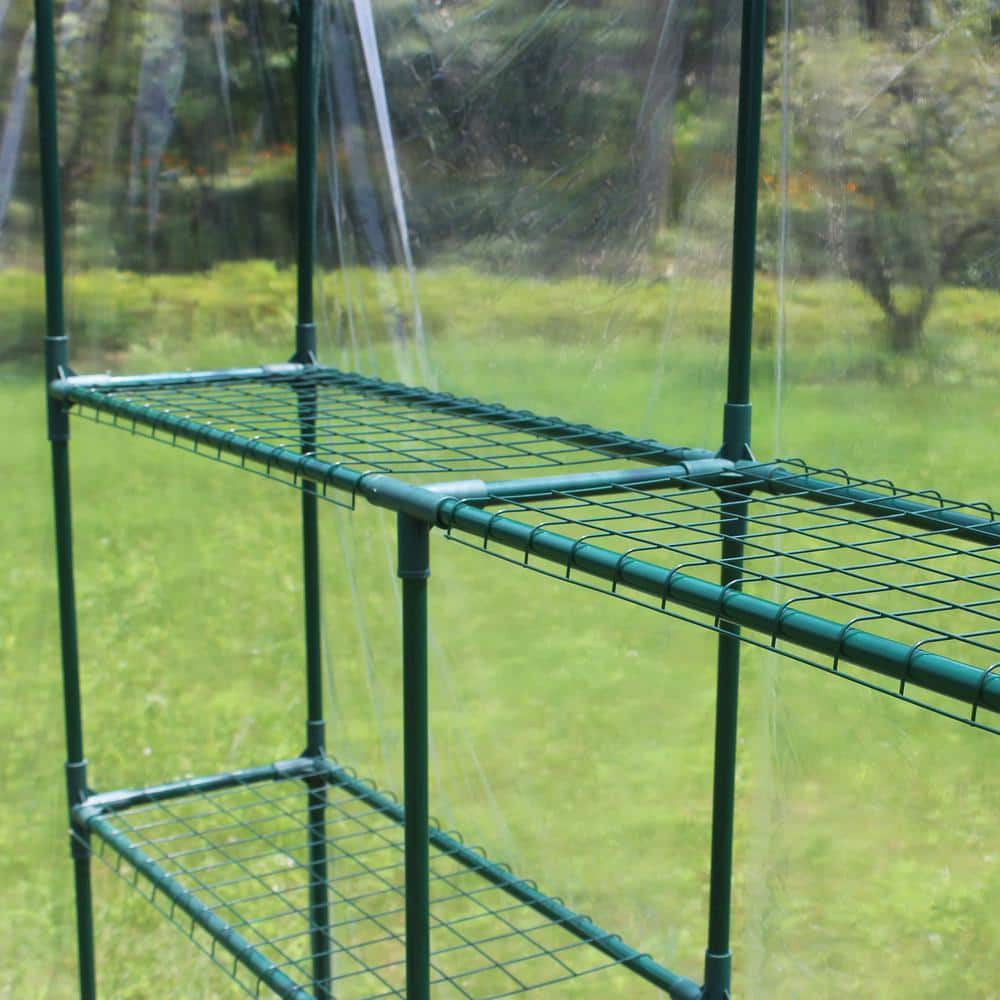 56 in. L x 56 in. W x 76 in. H Mini Walk-in Metal Greenhouse 2-Tier 8-Shelves Transparent - Hercitys