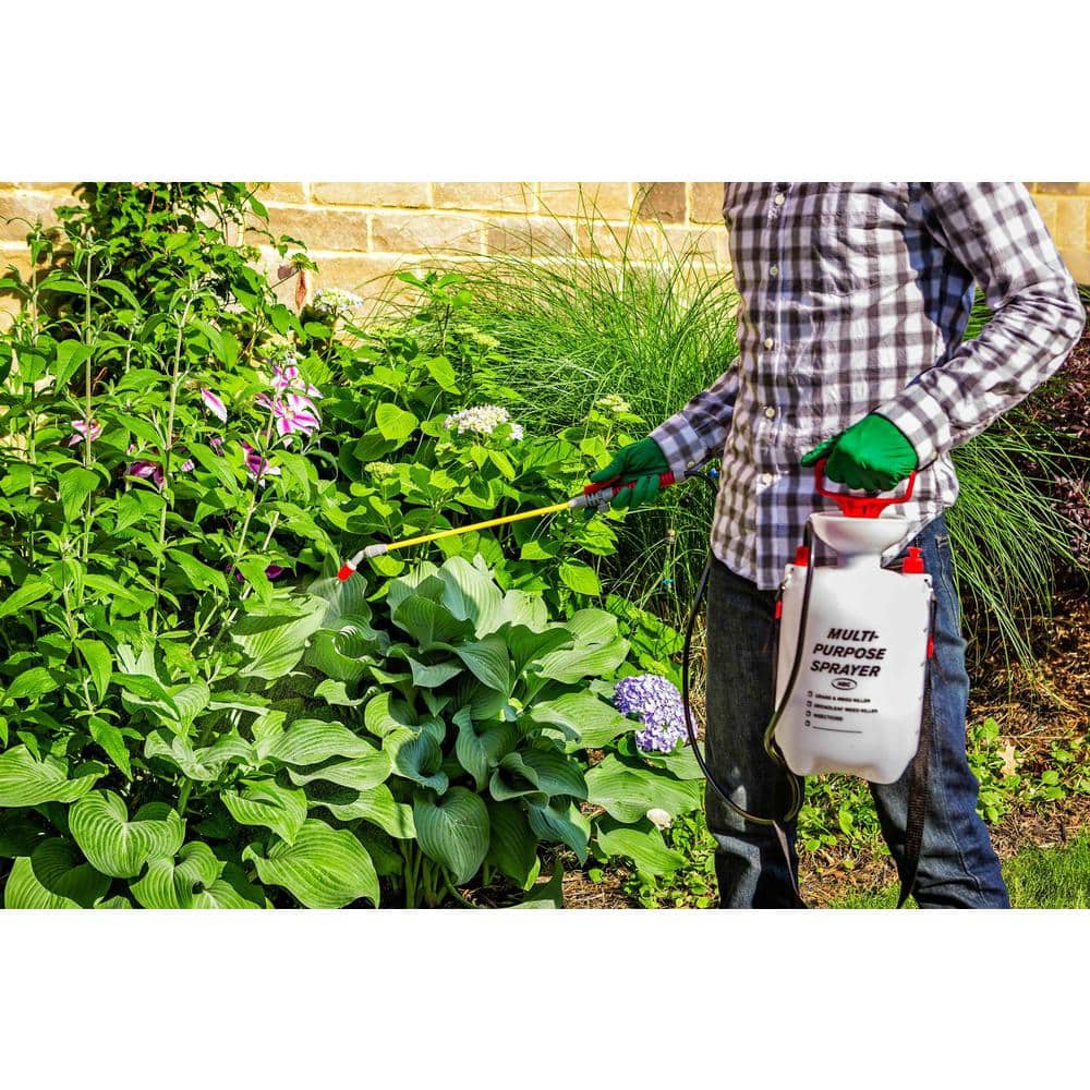 16 oz. Concentrate Fungicide - Hercitys