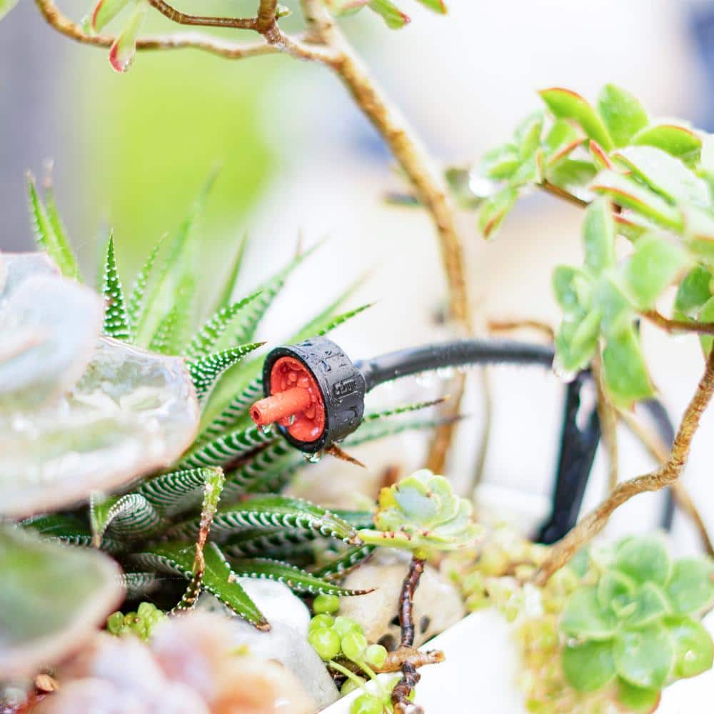 4 GPH Pressure Compensating Dripper (100-Pack) - Hercitys