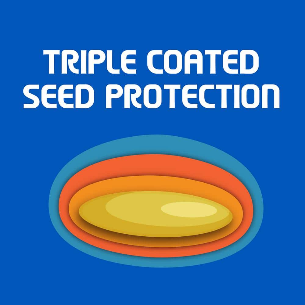 3 lbs. Sun and Shade Grass Seed Mix - Hercitys