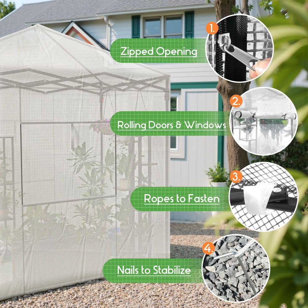 4 ft. W x 6 ft. D Collapsible Metal Walk-In Greenhouse, White - Hercitys