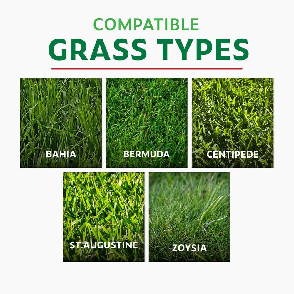 32 oz. 3,500 sq. ft. All Season Ready-to-Spray Concentrate Liquid Lawn Fertilizer - Hercitys