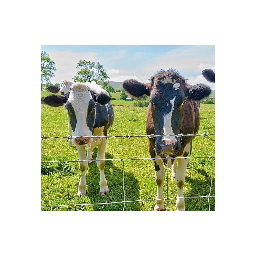 4 ft. x 164 ft. 14 Gauge Galvanized Heavy Metal Wire Fence Snake Fencing Deer Fence Goat Fence - Hercitys