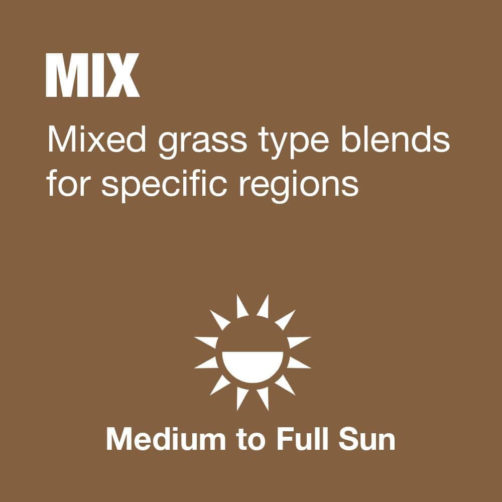 3 lbs. Fast Grass Seed Mix with Water Saver Seed Coating - Hercitys