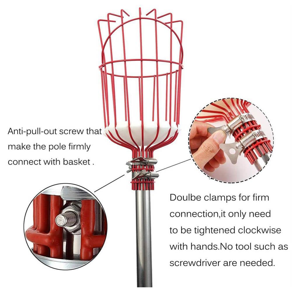 5 in. Tree Pruner Fruit Picker with Basket and Pole - Hercitys