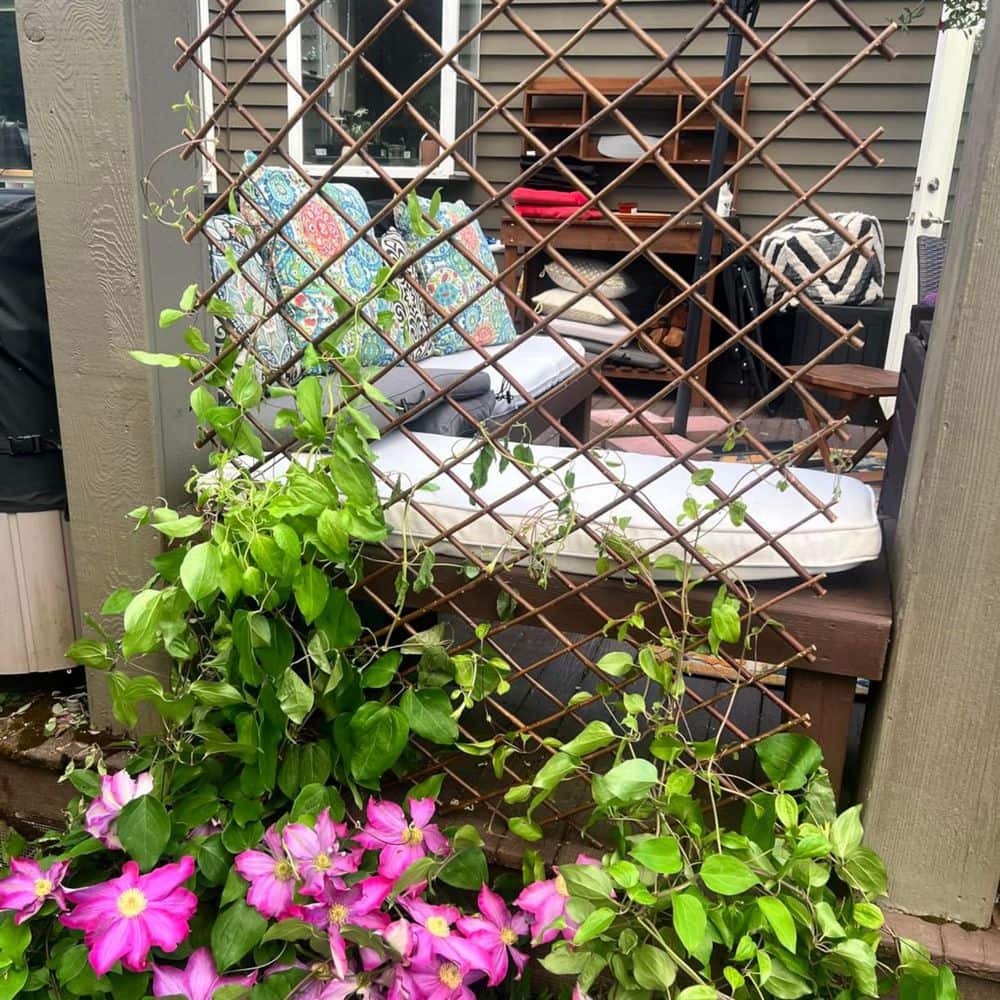 36 x 92in. Nature Willow Expandable Trellis Fence - Hercitys