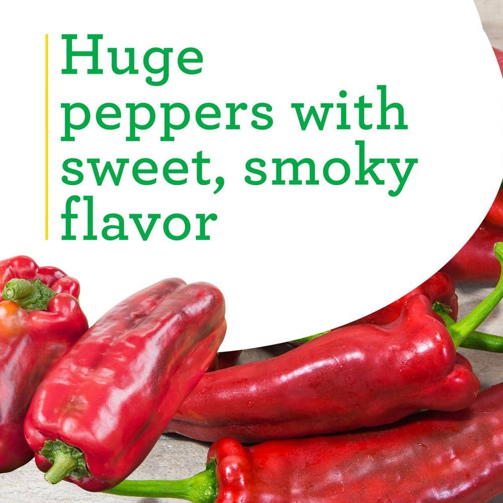 19.3 oz. Giant Marconi Pepper Plant, (2-Pack) - Hercitys