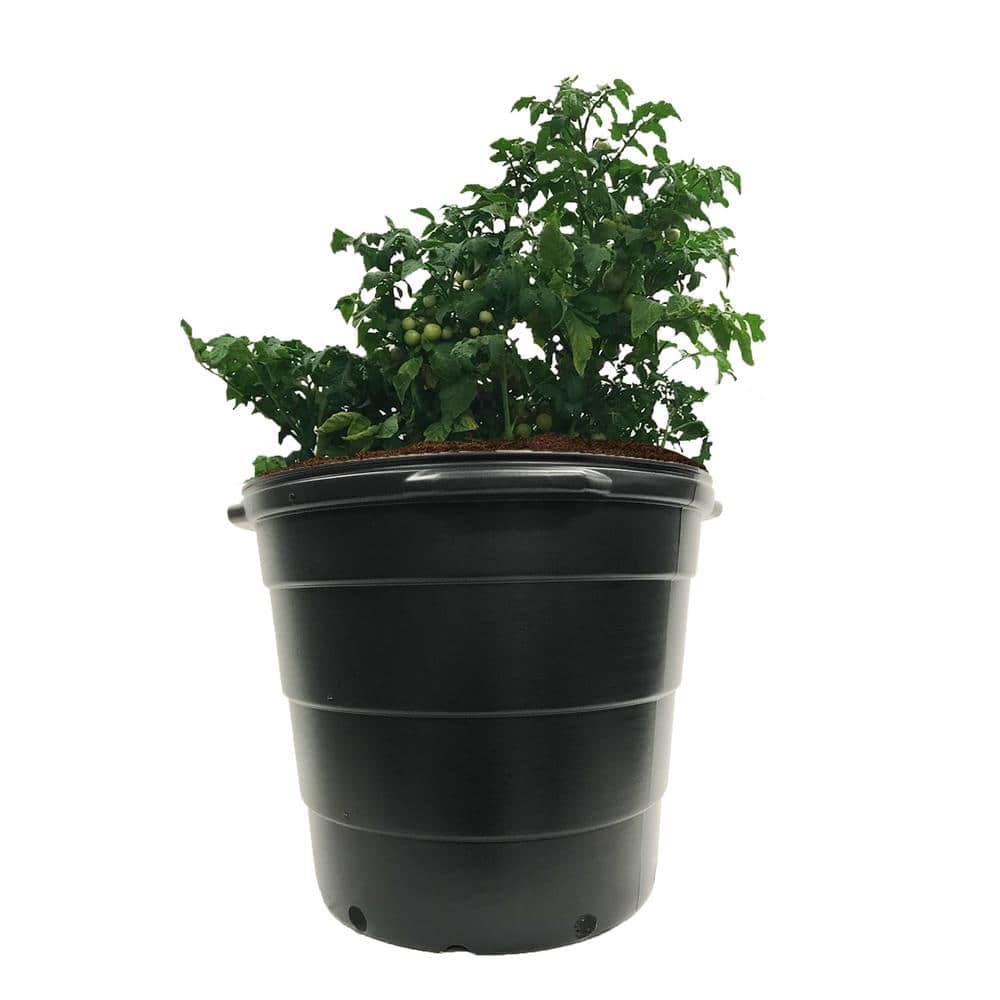 20 Gal. 80 qts. Black Round Plastic Nursery Garden Pots 77.22 l/3.17 cu. Ft. (5-Pack) - Hercitys