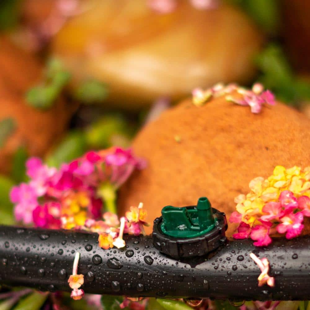 2 GPH Button Dripper (100-Pack) - Hercitys