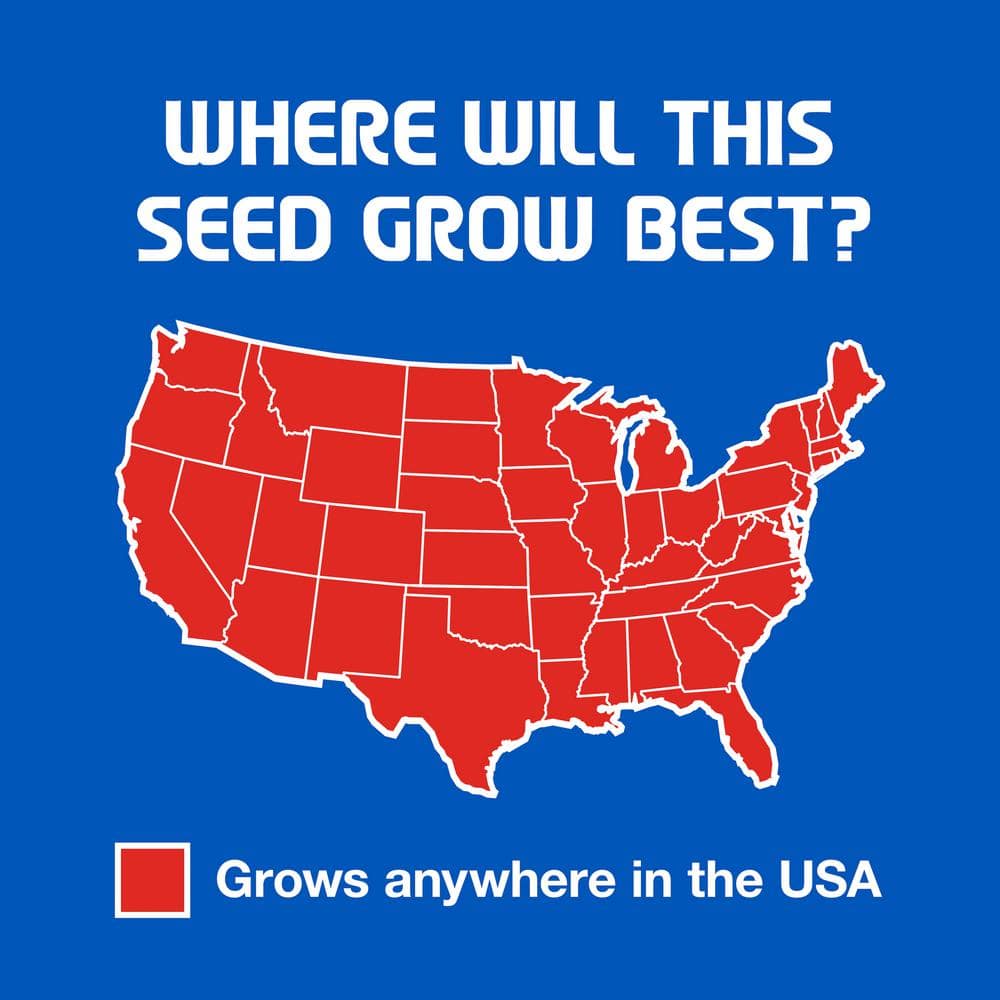 3 lbs. Sun and Shade Grass Seed Mix - Hercitys